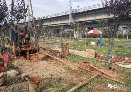 沿江高鐵肥東段迎關(guān)鍵節(jié)點 店埠河特大橋啟動勘測，為2020年開工建設(shè)鋪路